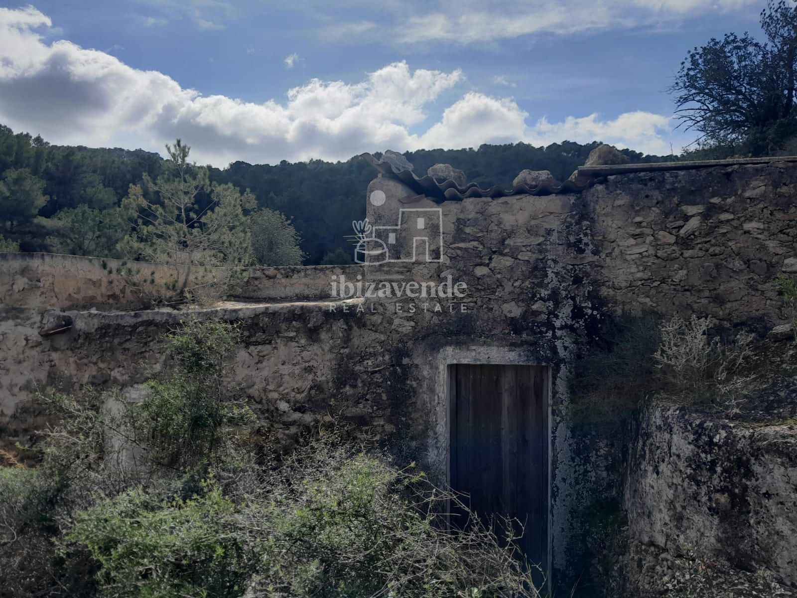 Exterior/Jardín