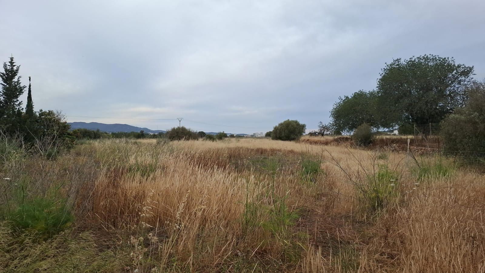 House in Ses Paisses - view 1