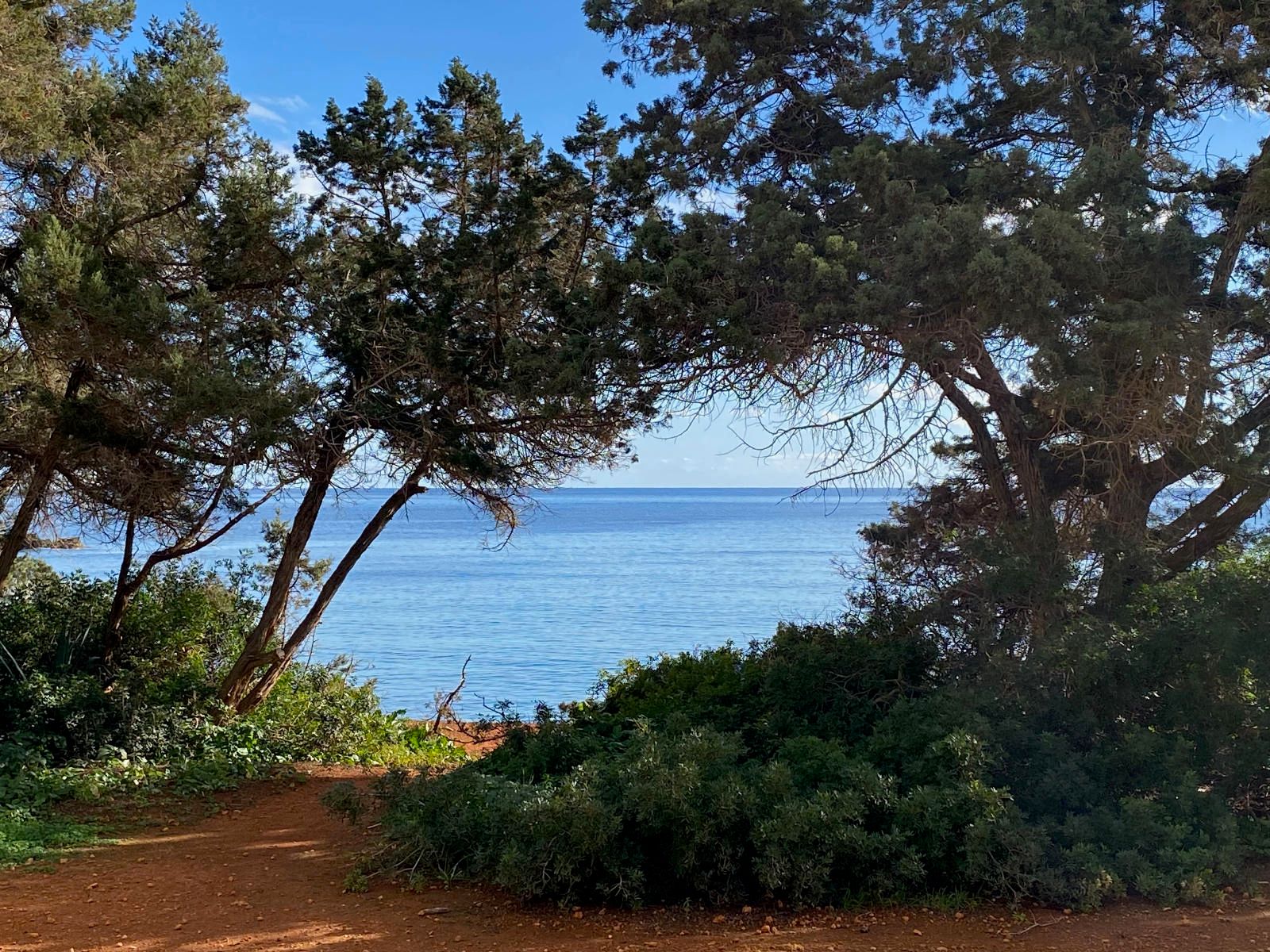 Apartment in Santa Eularia des Riu - Image 5