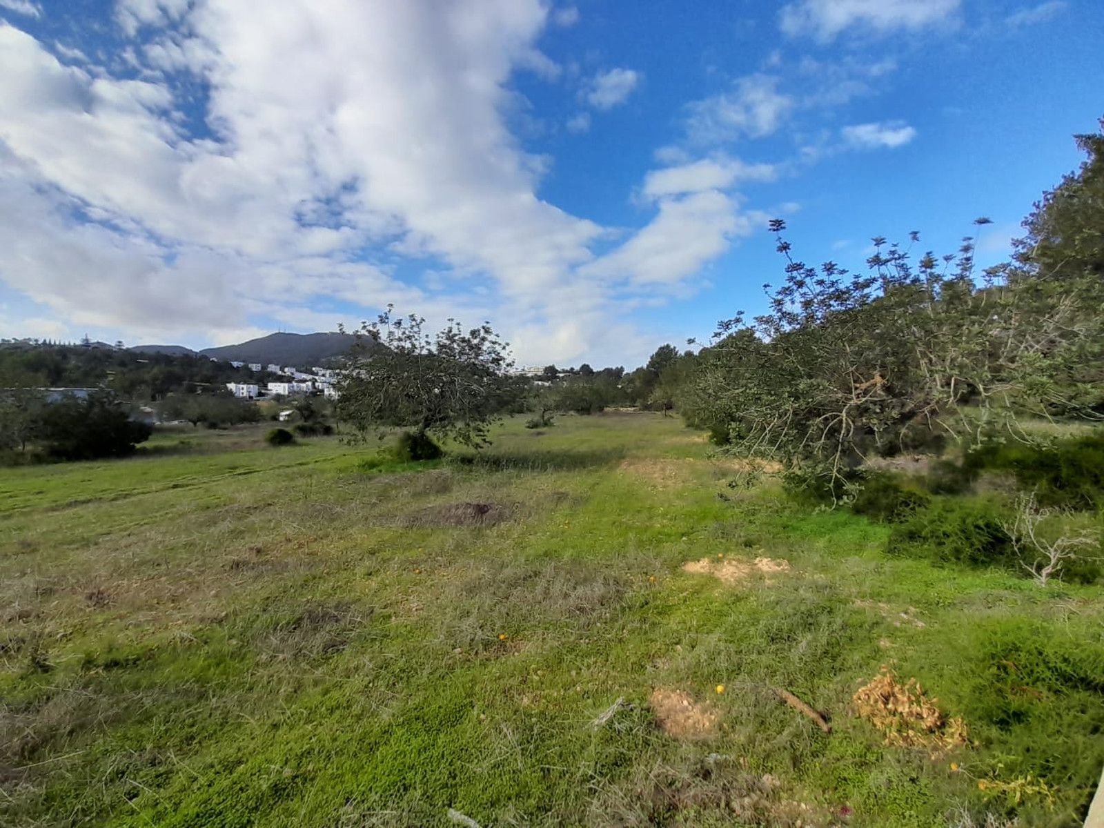 House in Sant Josep de sa Talaia - Image 2