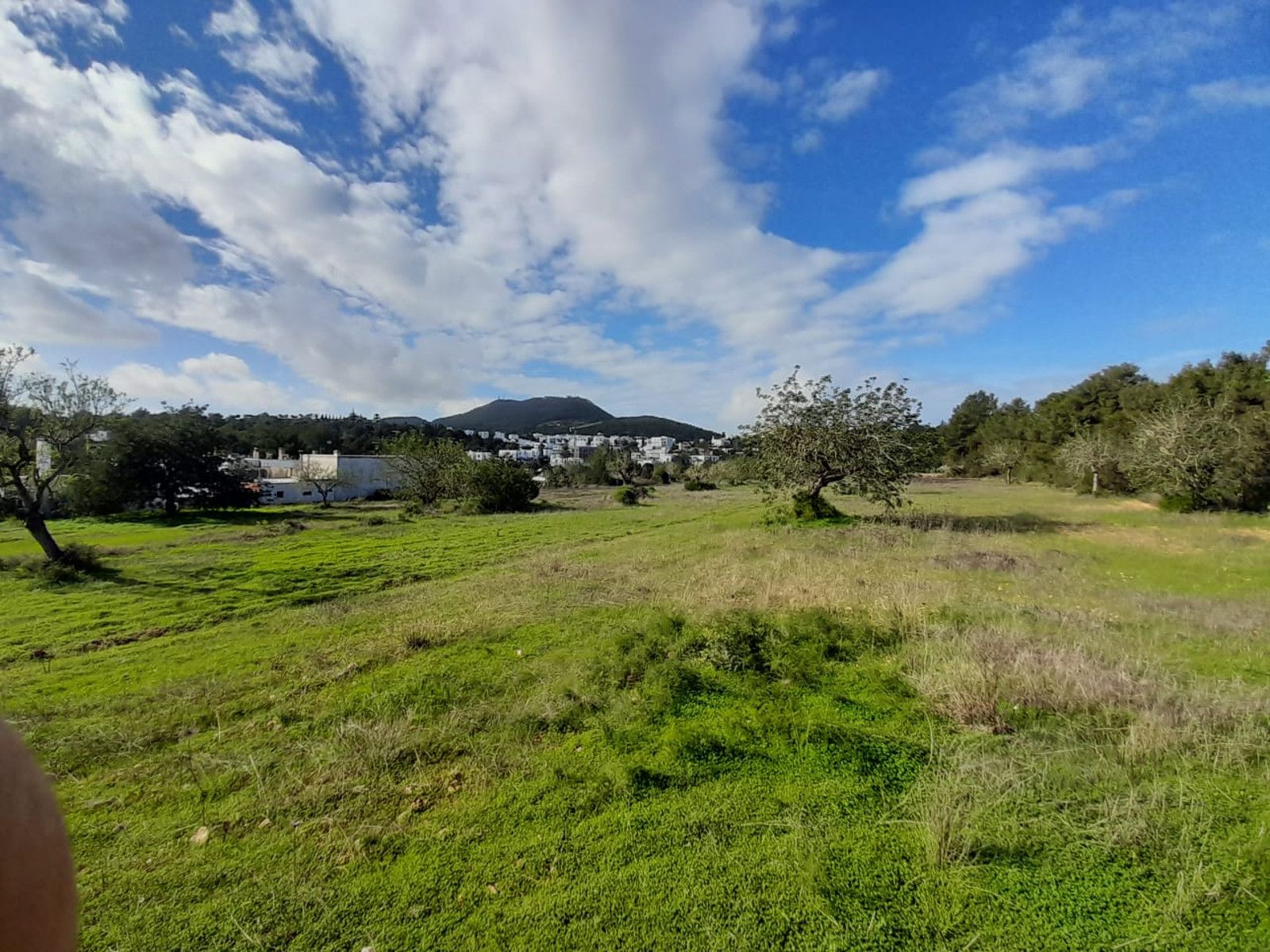 House in Sant Josep de sa Talaia - Image 3