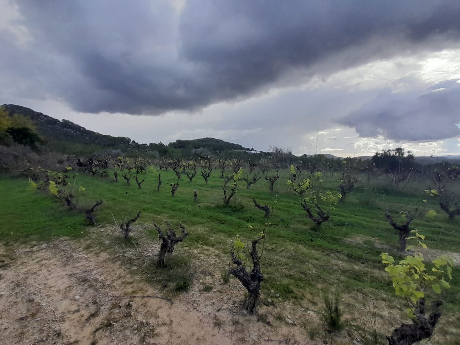 Villa in Santa Agnes de Corona - view 1