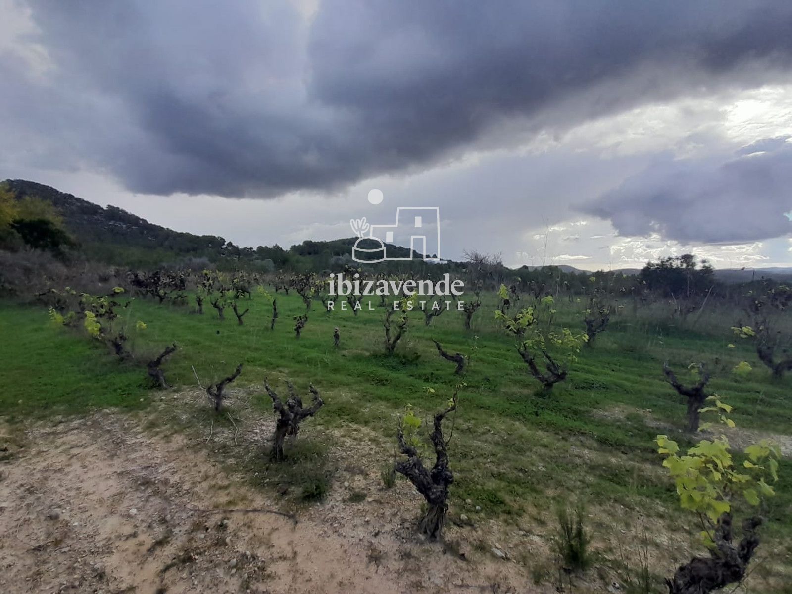 Casa en venta Santa Agnes De Corona, Baleares. Ref: 4466. Ibizavende