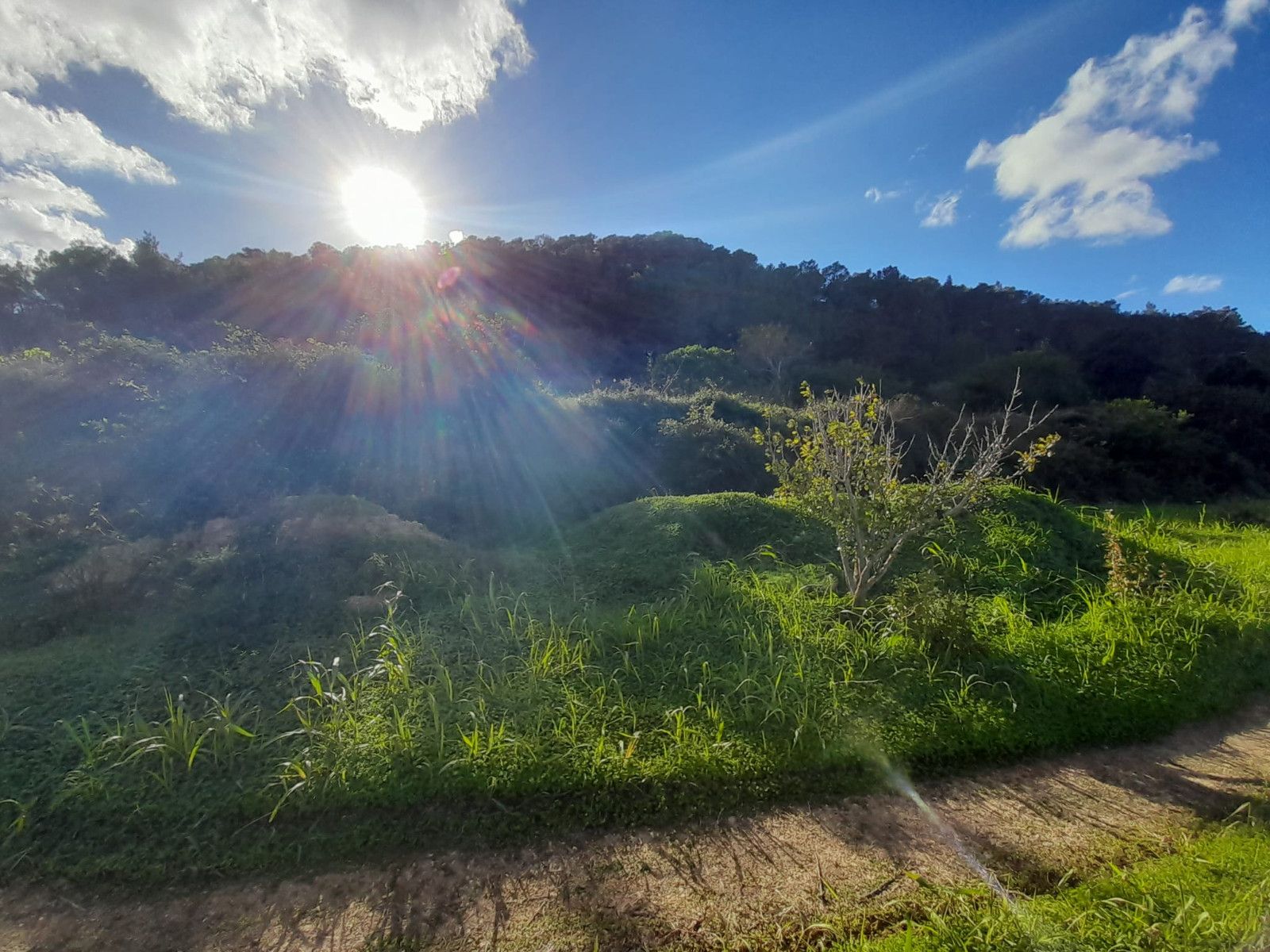 House in Sant Josep de sa Talaia - Image 2