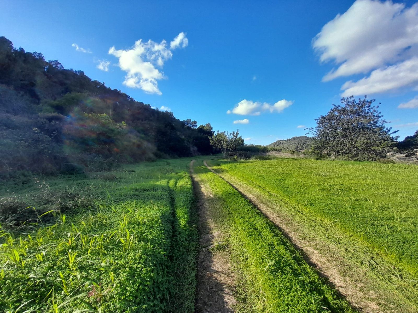 House in Sant Josep de sa Talaia - Image 3