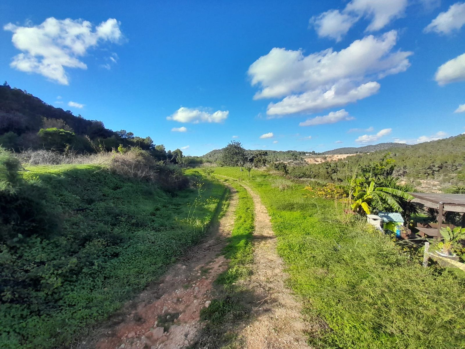 House in Sant Josep de sa Talaia - Image 4