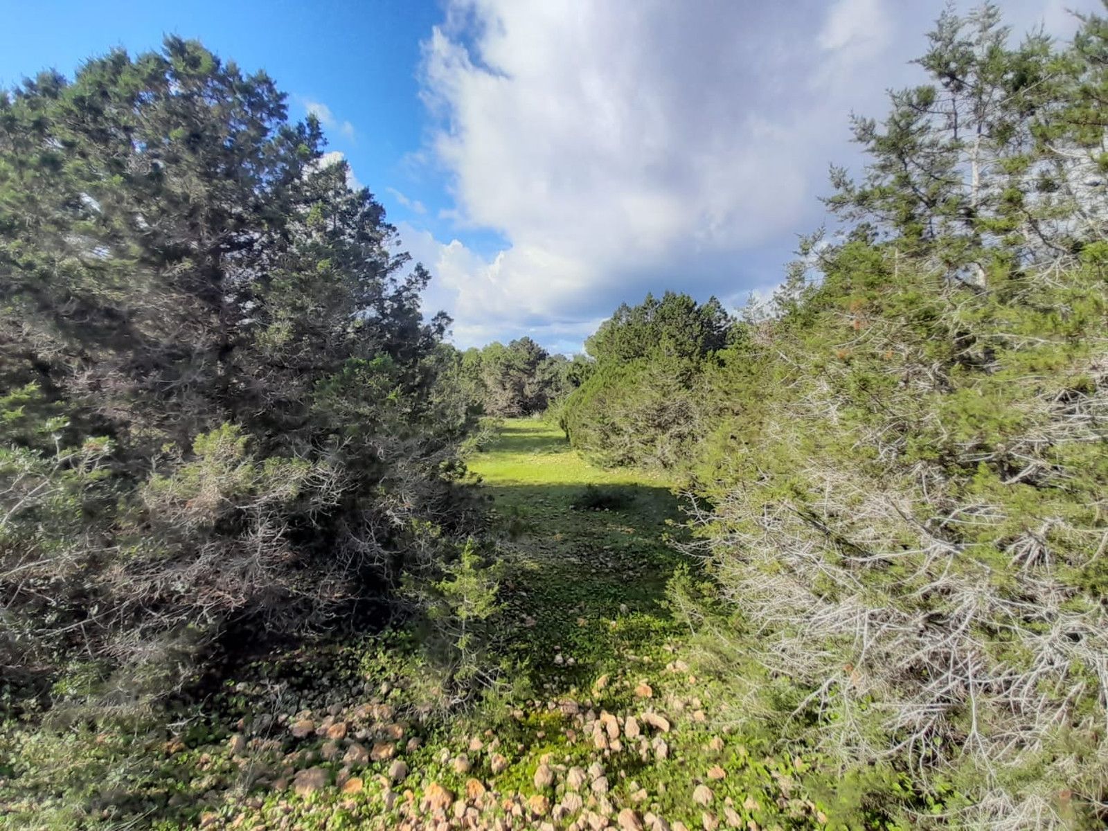 House in Sant Josep de sa Talaia - Image 4