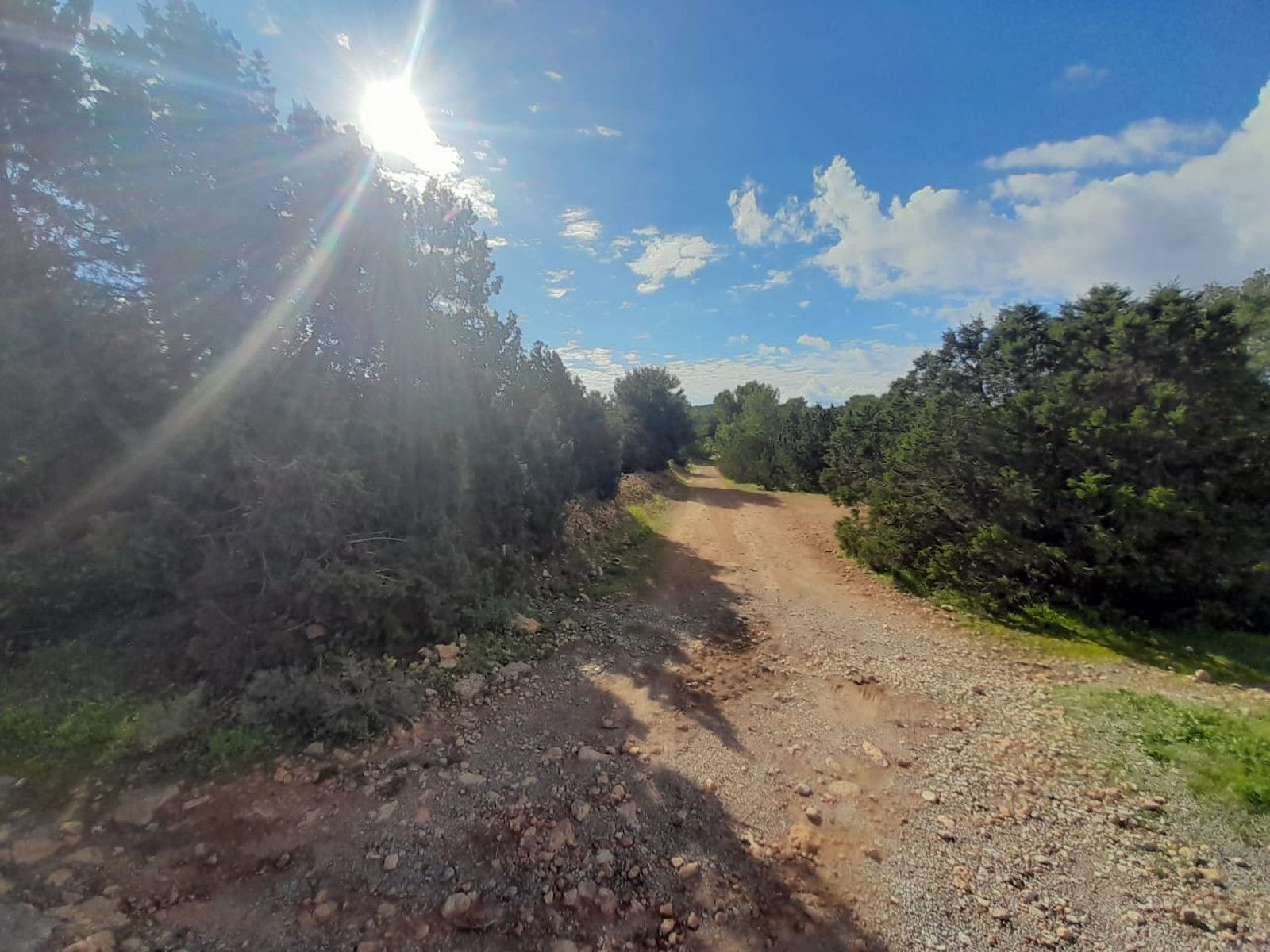 House in Sant Josep de sa Talaia - Image 5