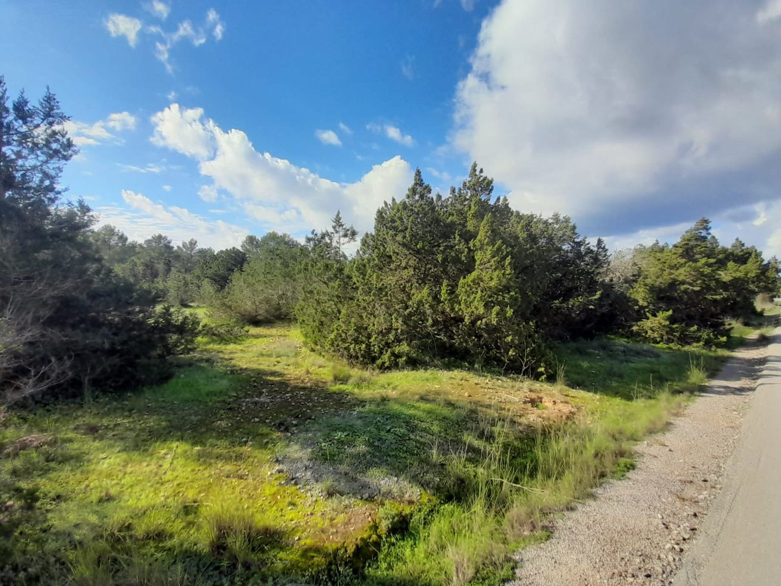 House in Sant Josep de sa Talaia - Image 2