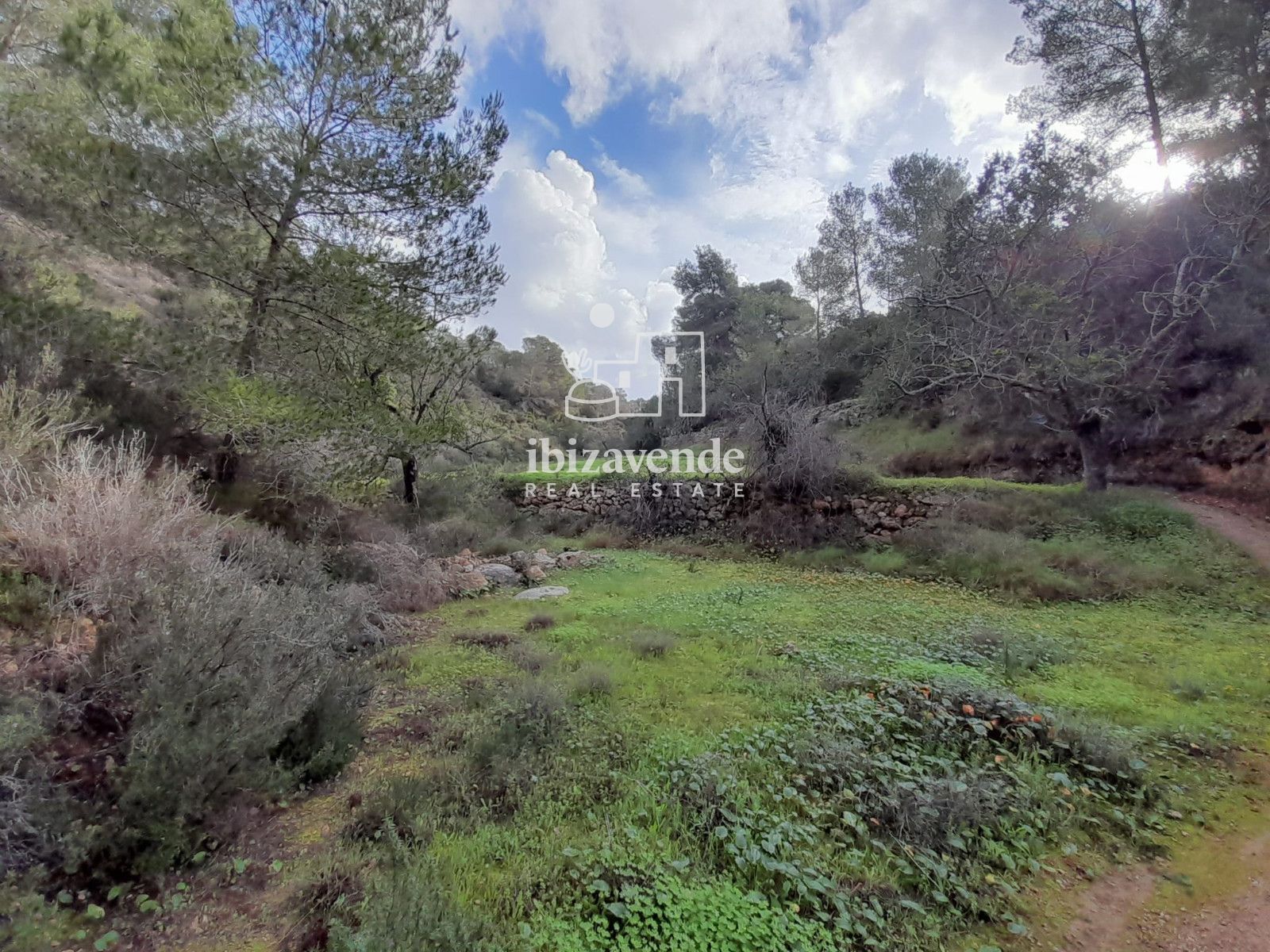 Mobilia Inmueble Image