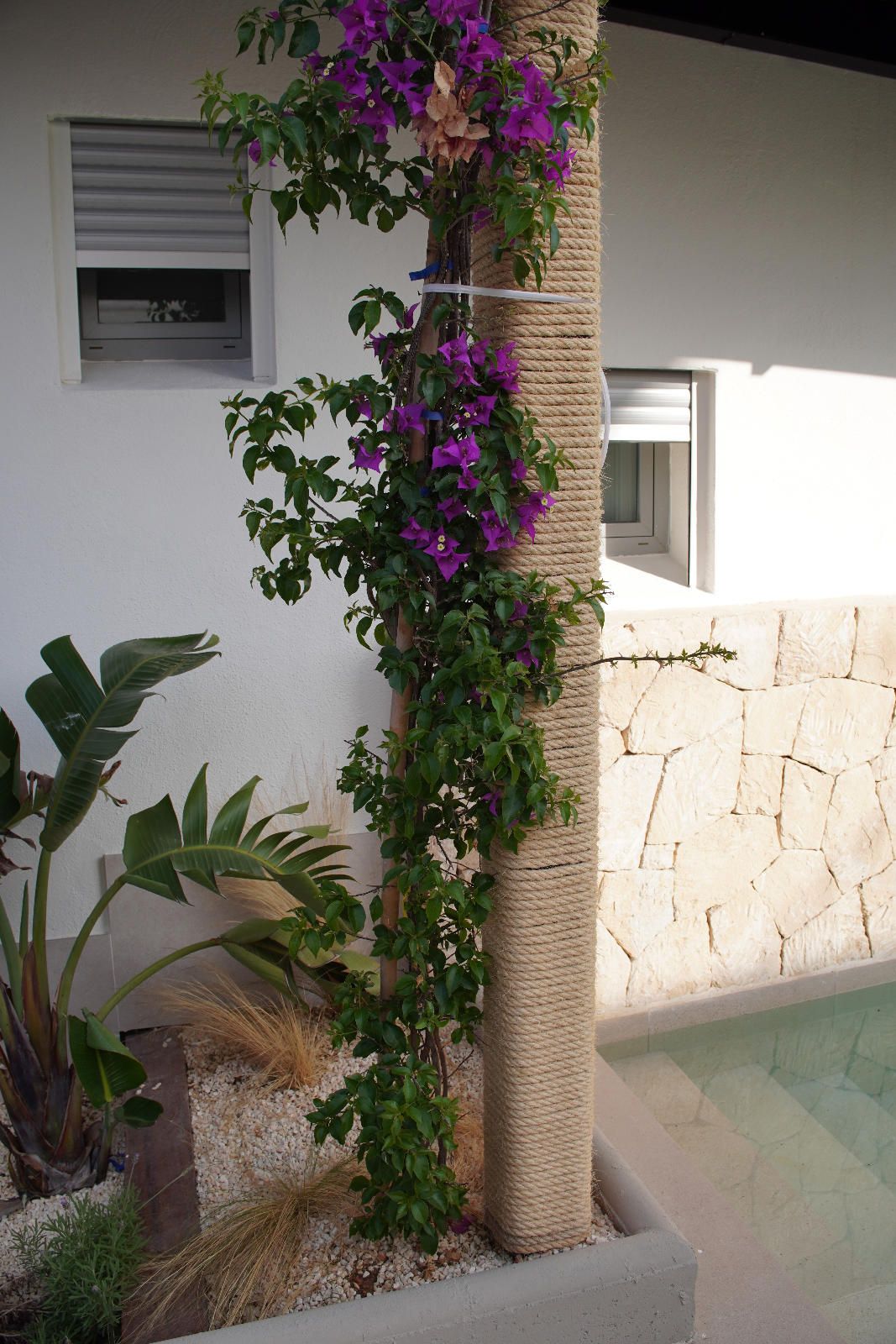Mobilia Immobilien Bild