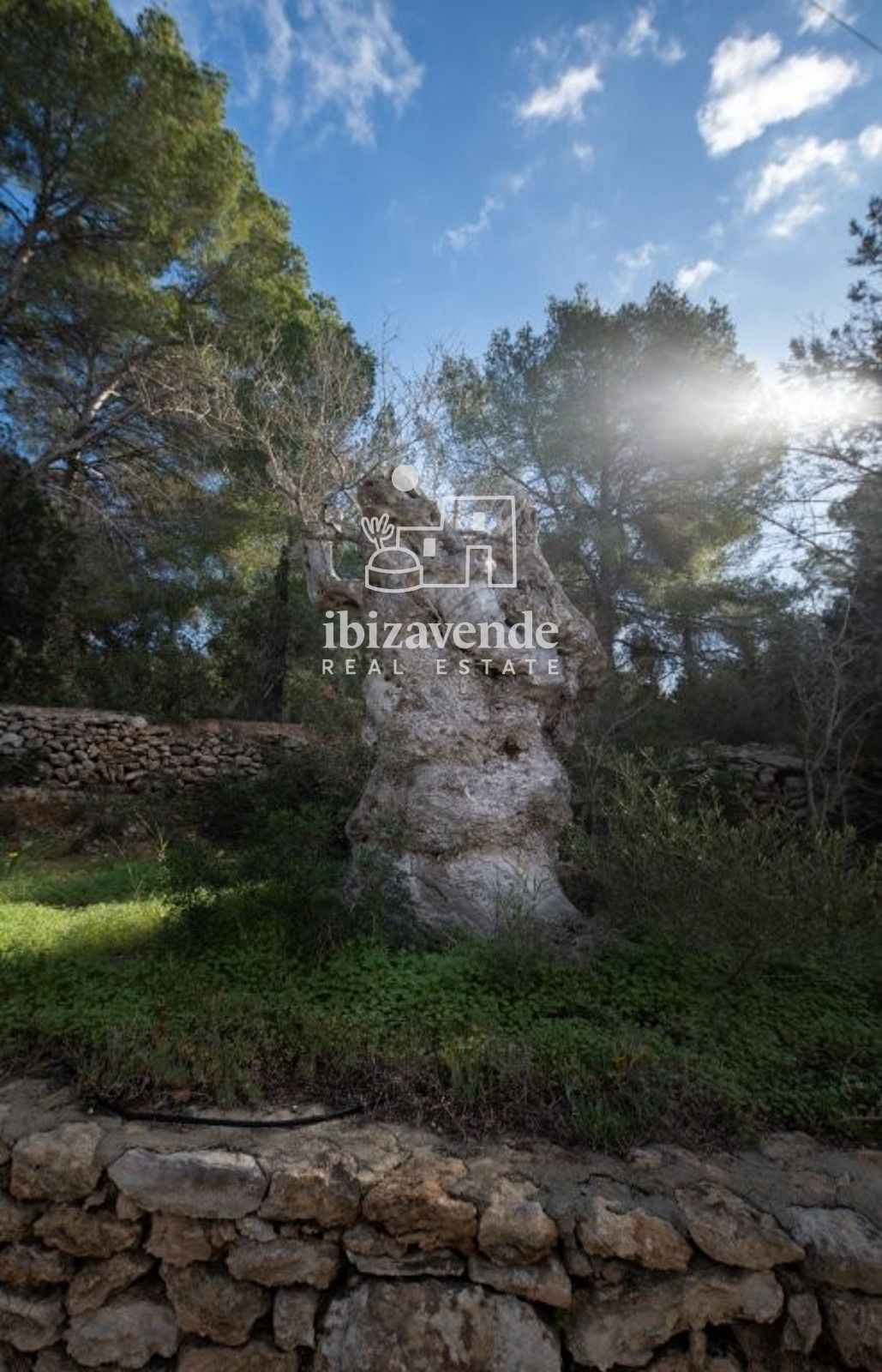 Mobilia Inmueble Image