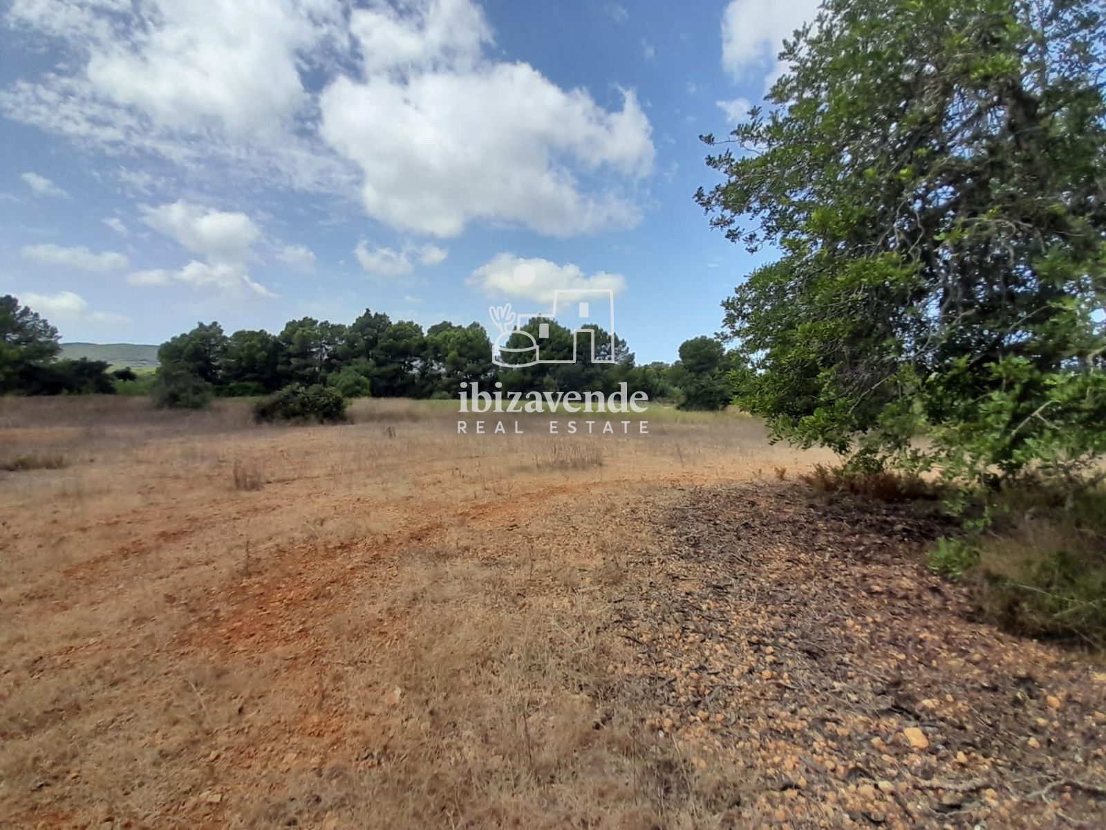 Mobilia Inmueble Image