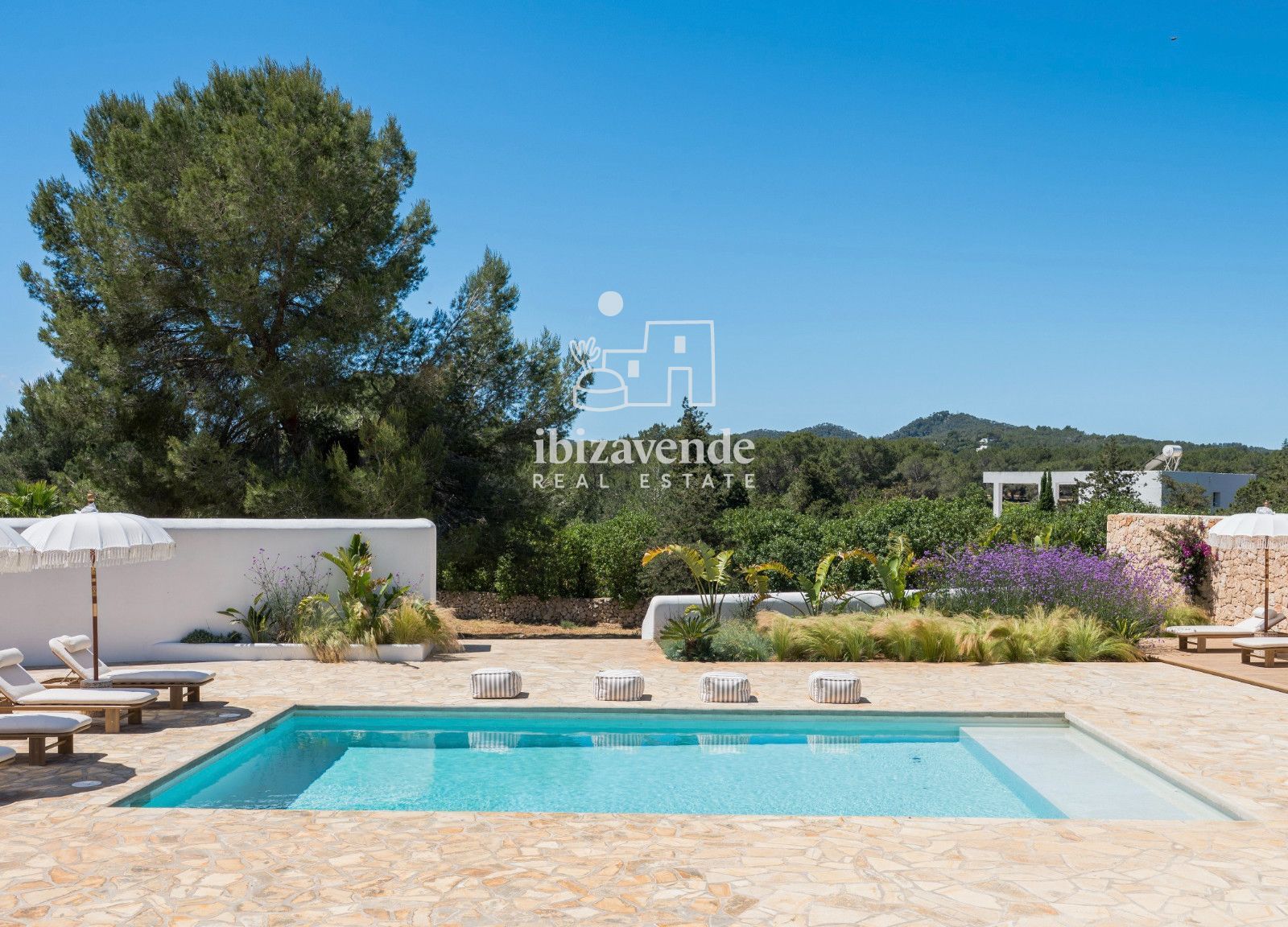 Mobilia Immobilien Bild