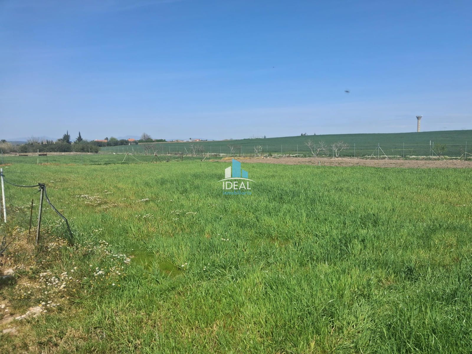 Parcela en venta Medellin, Badajoz. Ref: 3293. IDEAL inmobiliaria