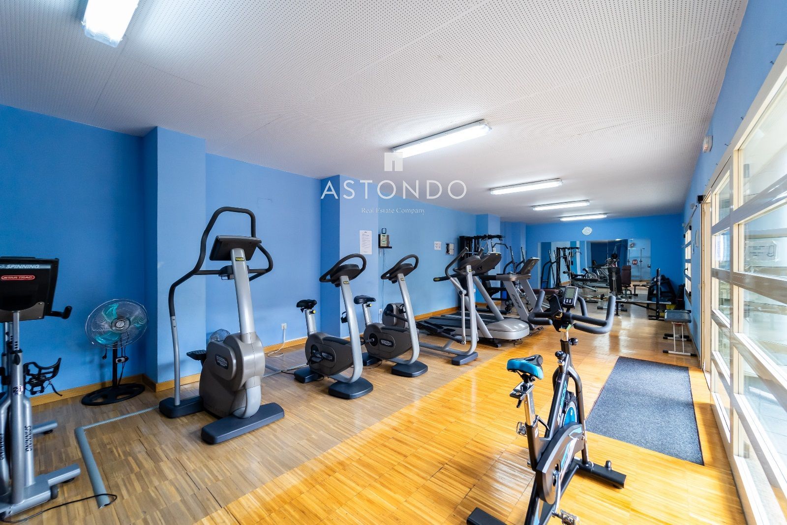 Gimnasio