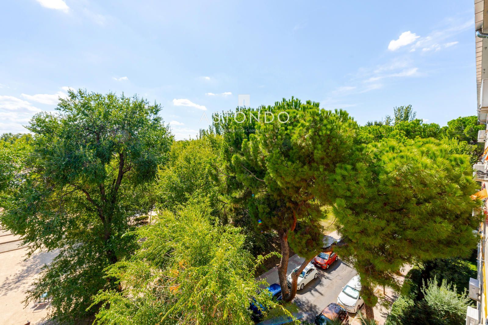 Apartment for sale in Palomas with 4 bedrooms, 3 bathrooms, garage, storage room, and swimming pool. - Foto 42