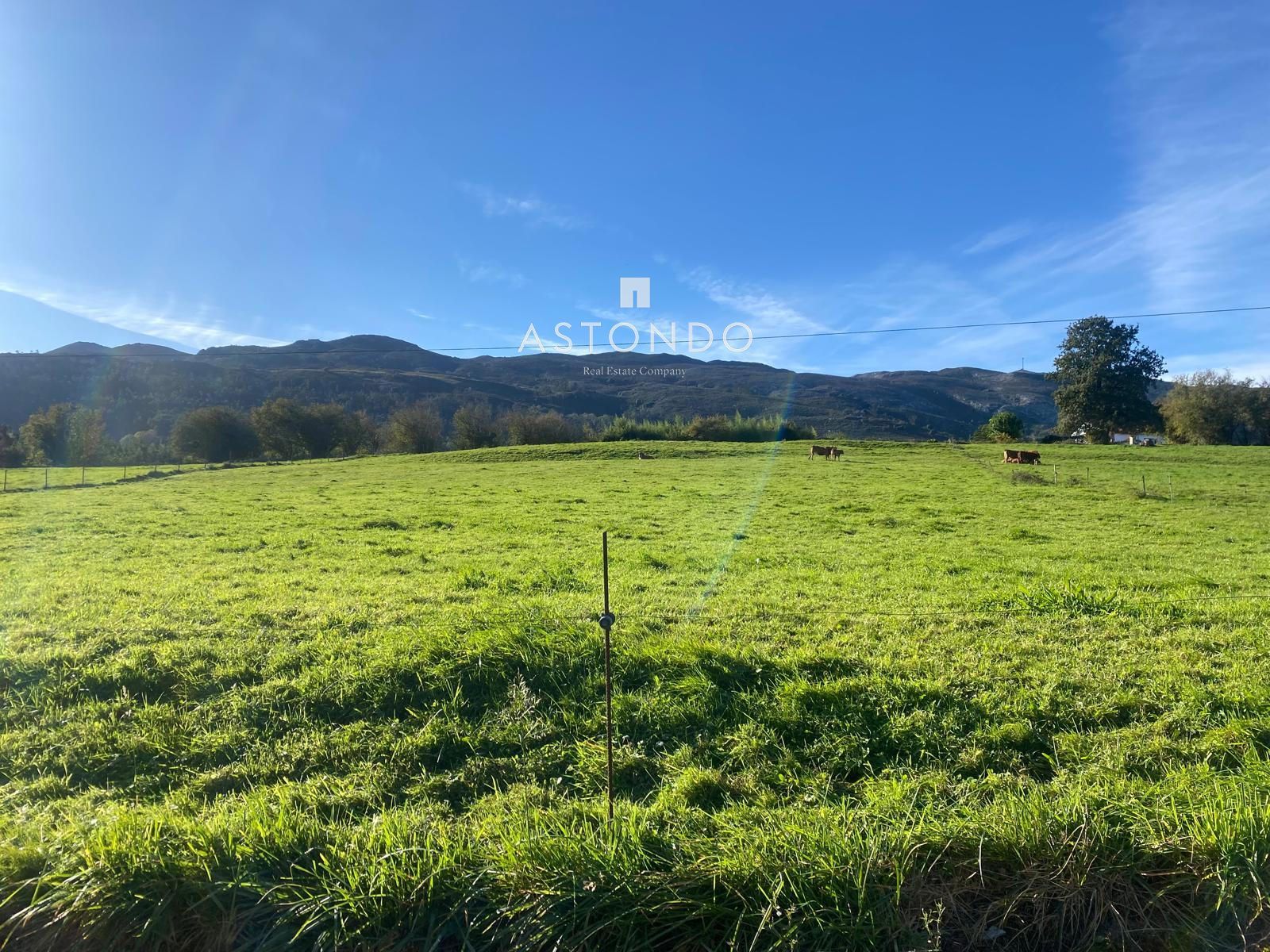 Plot for sale Ribadedeva, Asturias. Ref: 4829. ASTONDO REAL ESTATE