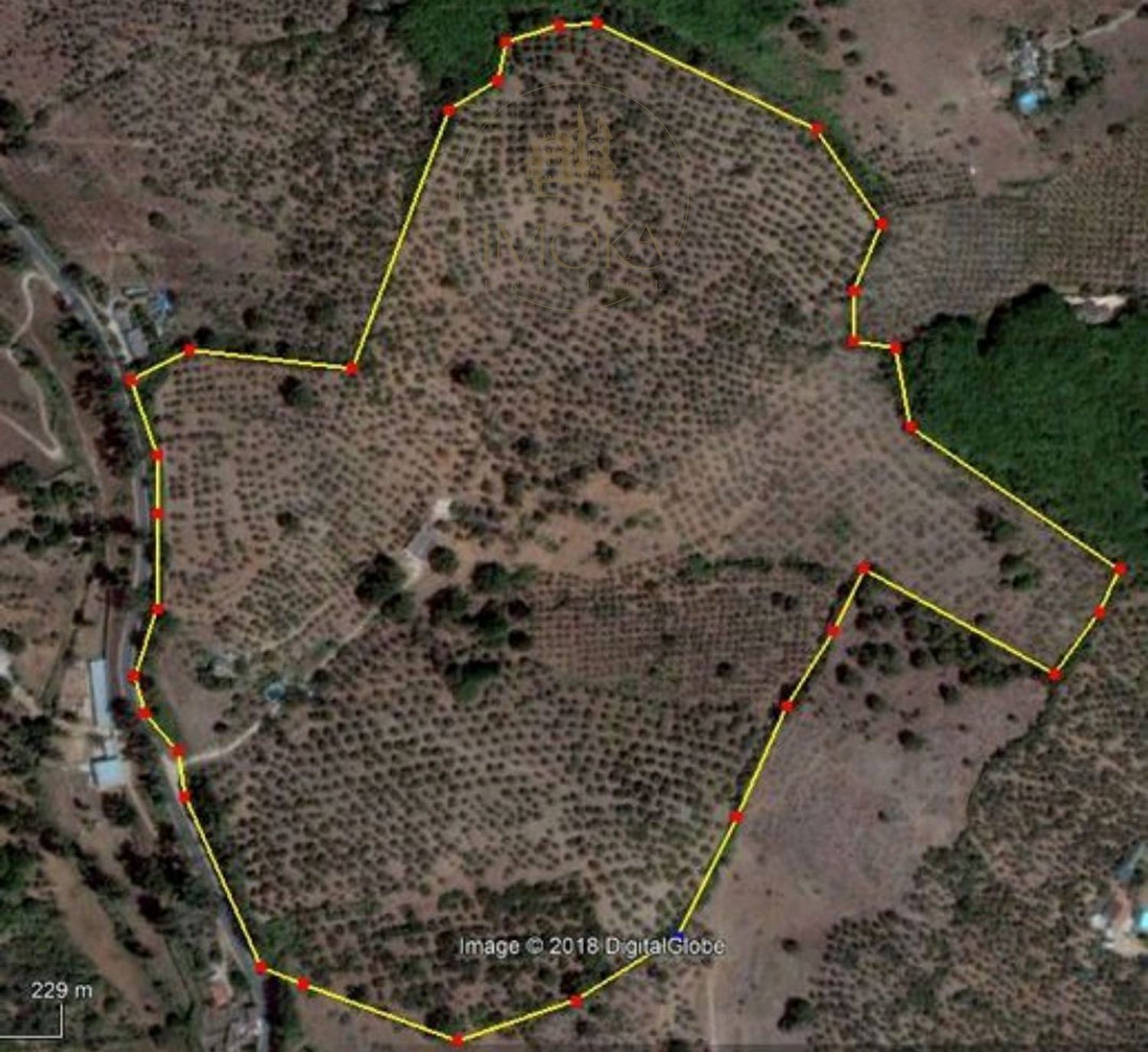 Finca en venta Sevilla. Ref: 1372. IMOKA