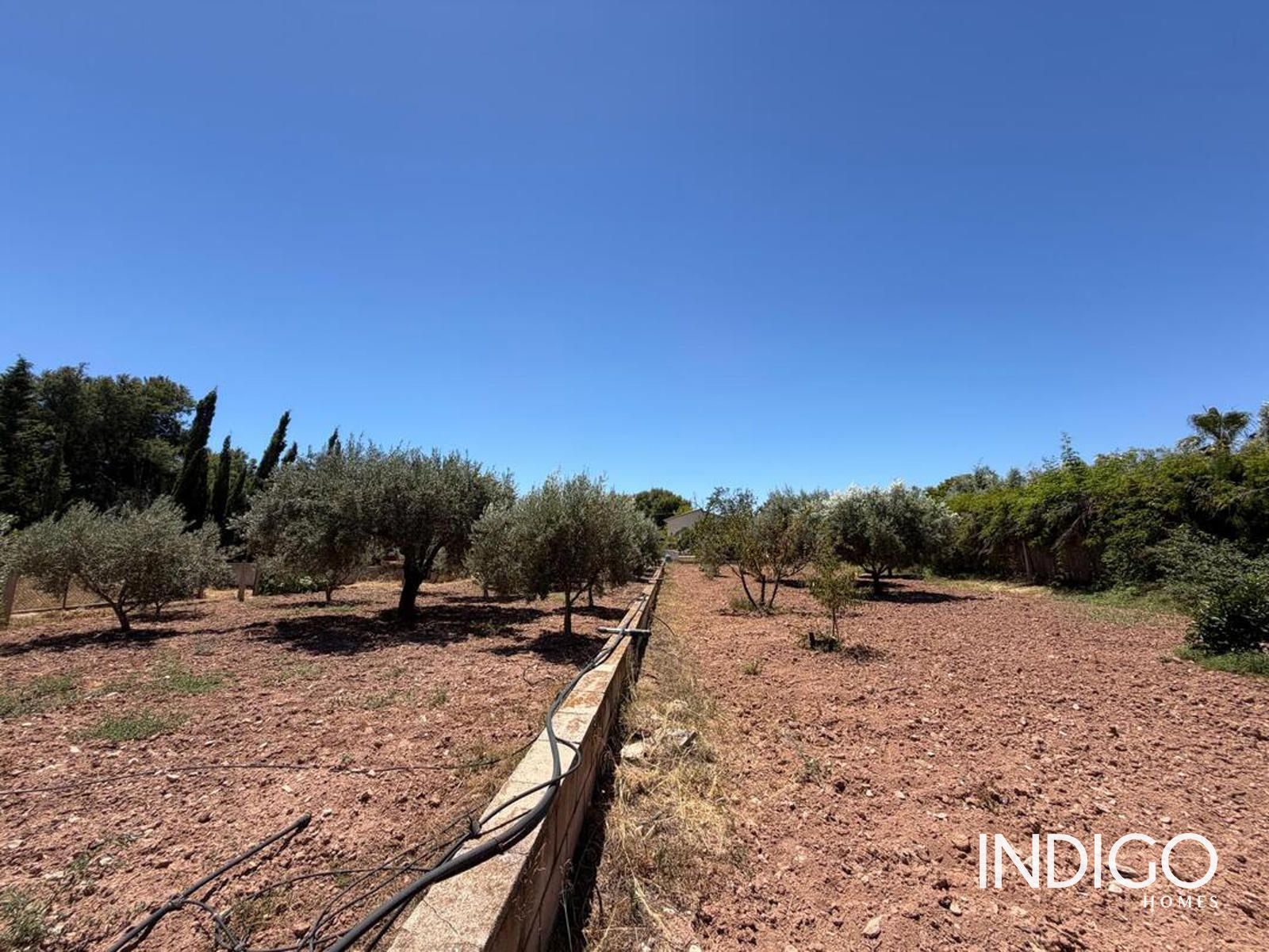 Detached Villa for sale in San Vicent del Raspeig, Alicante - Foto 10