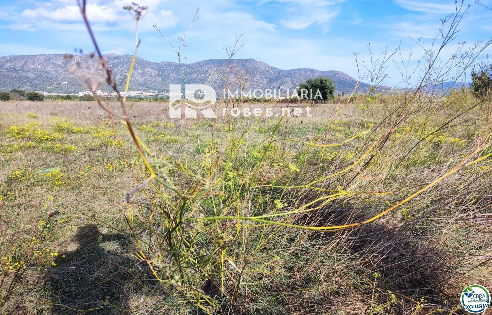 Terreno rustico en Torroella de Fluvià. - Foto 2