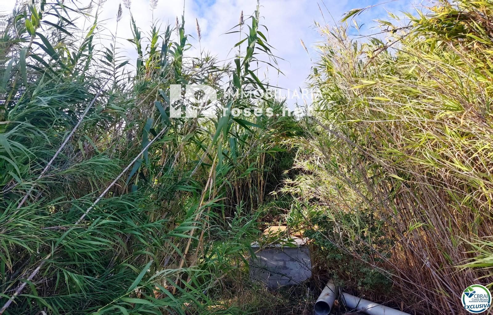 Terreno rustico en Torroella de Fluvià. - Foto 3