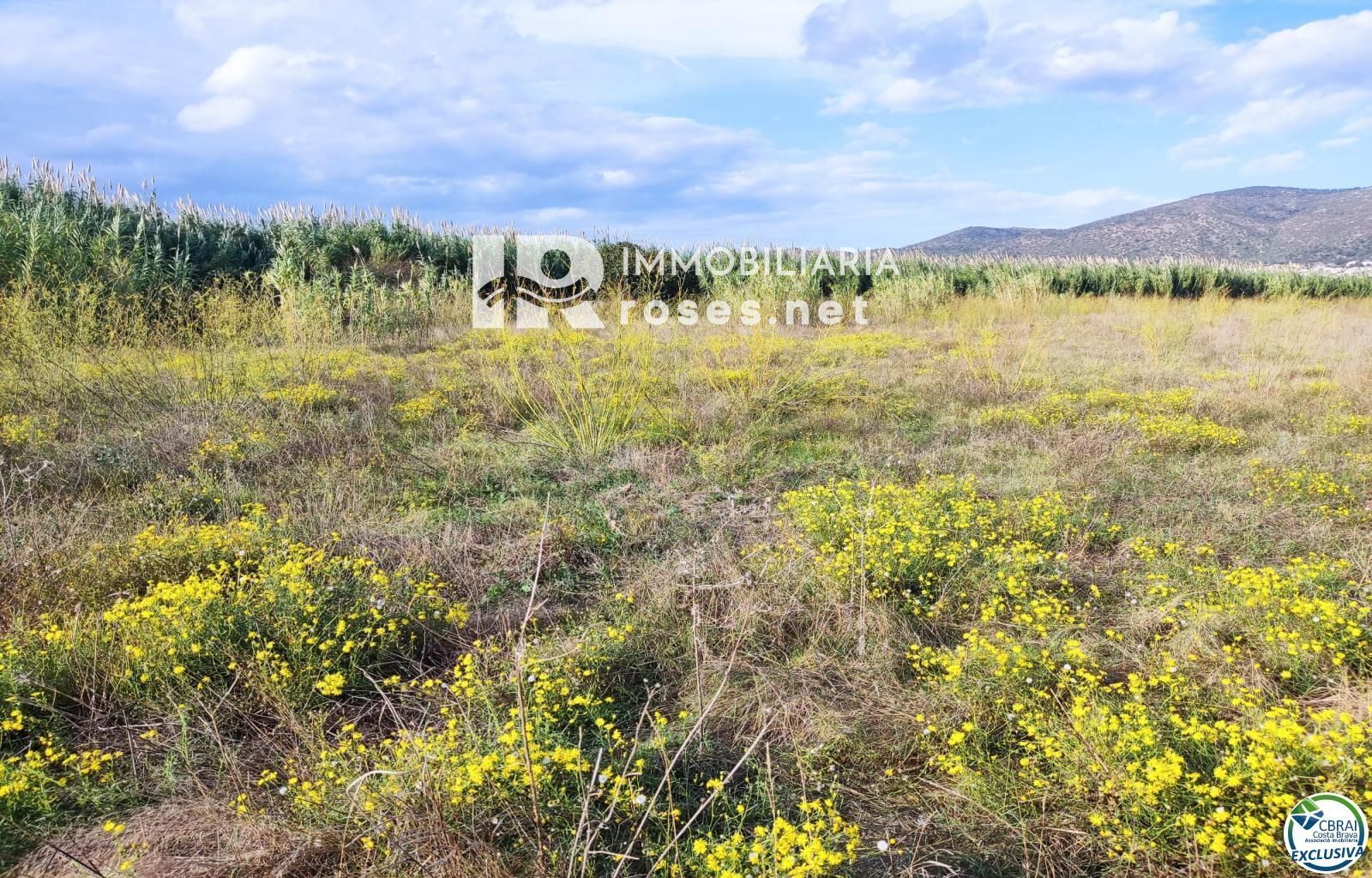 Terreno rustico en Torroella de Fluvià. - Foto 4