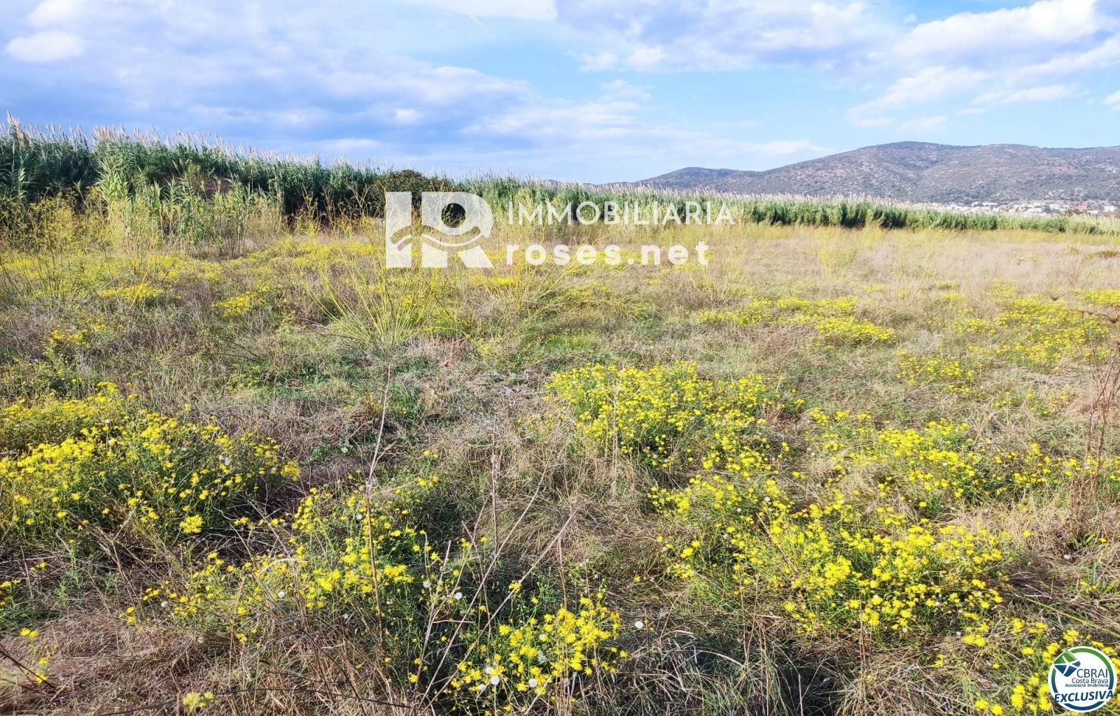 Terreno rustico en Torroella de Fluvià. - Foto 5