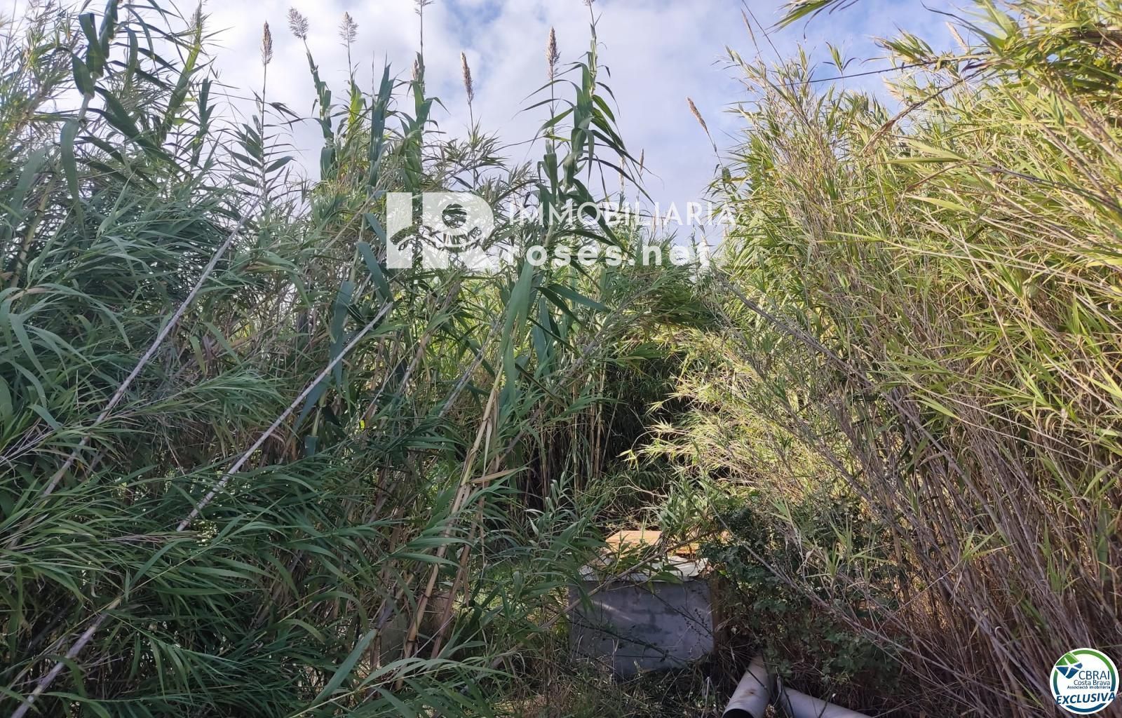 Terreno rustico en Torroella de Fluvià. - Foto 6