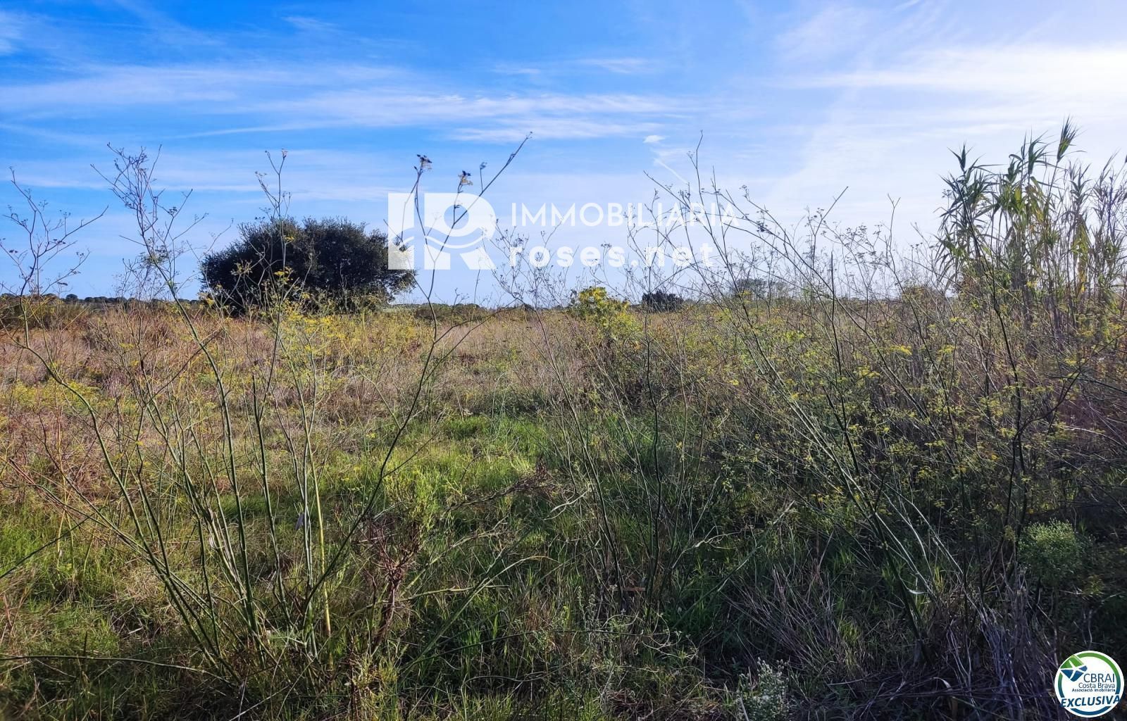 Terreno rustico en Torroella de Fluvià. - Foto 7