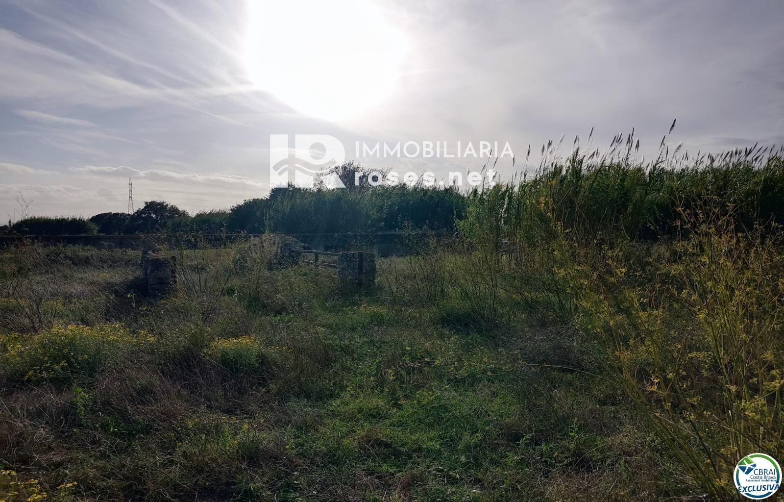Terreno rustico en Torroella de Fluvià. - Foto 8
