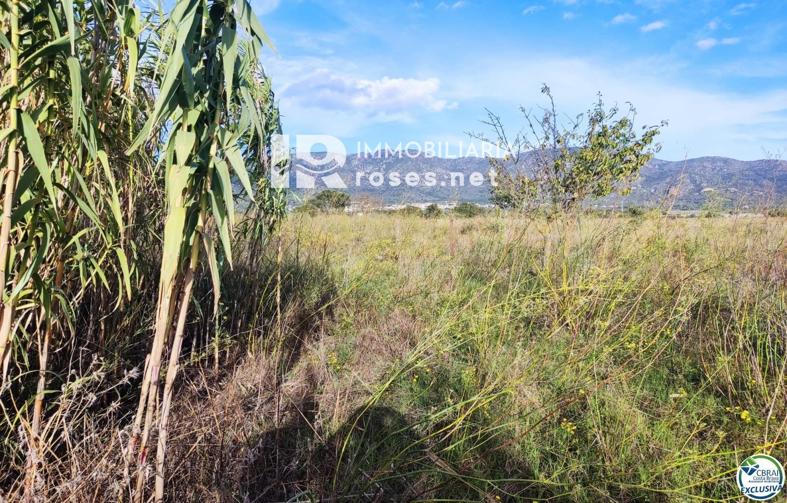 Terreno rustico en Torroella de Fluvià. - Foto 9