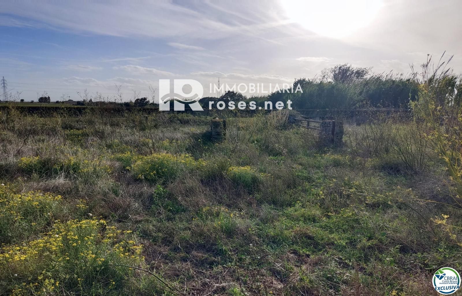 Terreno rustico en Torroella de Fluvià. - Foto 10