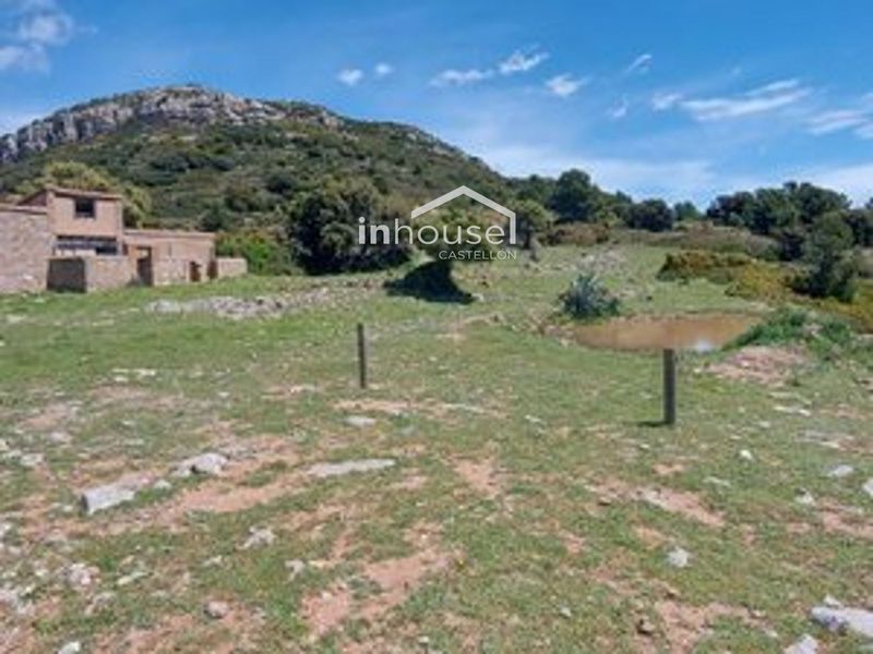 Parcela en venta Lucena Del Cid, Castellón. Ref: 1017. Inhouse Castellón