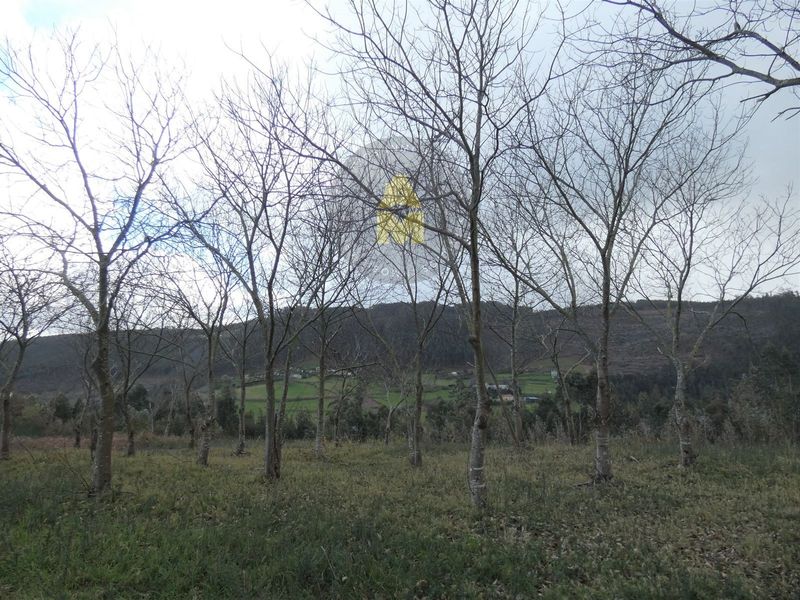 Parcela en venta Narón, A Coruña. Ref: 10978. AM Inmobiliaria Galicia