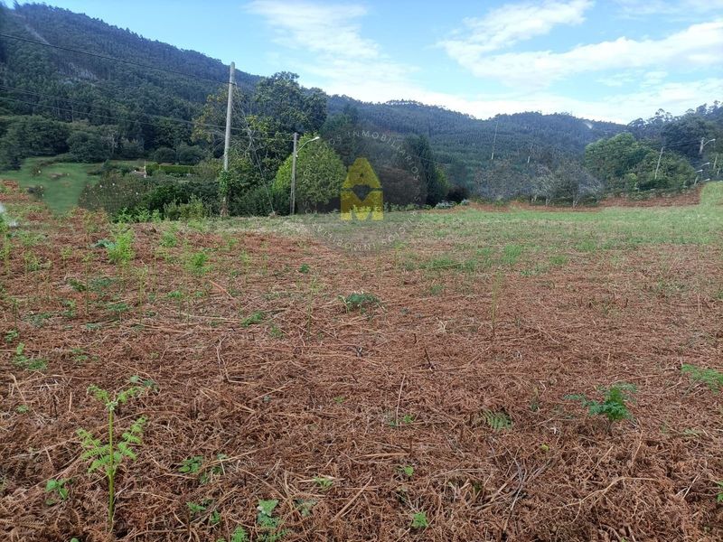 Parcela en venta Ferrol, A Coruña. Ref: 13392. AM Inmobiliaria Galicia