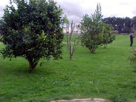 Casa en venta Fene, A Coruña. Ref: 3174. AM Inmobiliaria Galicia