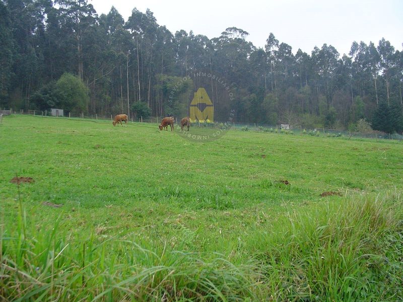 Parcela en venta Valdoviño, A Coruña. Ref: 4065. AM Inmobiliaria Galicia
