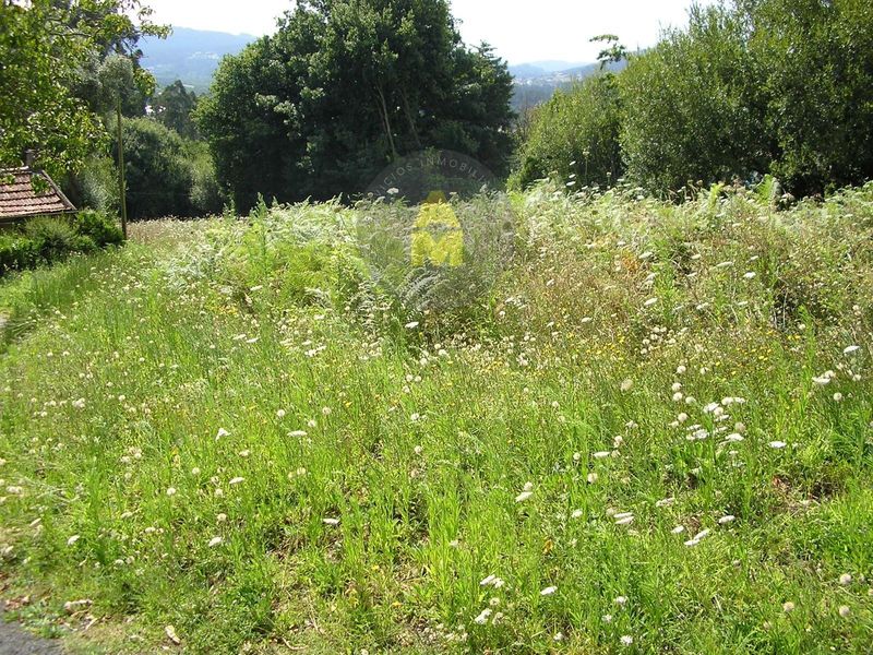 Parcela en venta San Sadurniño, A Coruña. Ref: 4450. AM Inmobiliaria Galicia