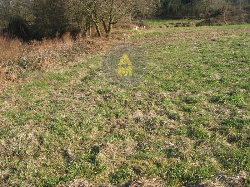 Parcela en venta Narón, A Coruña. Ref: 5663. AM Inmobiliaria Galicia