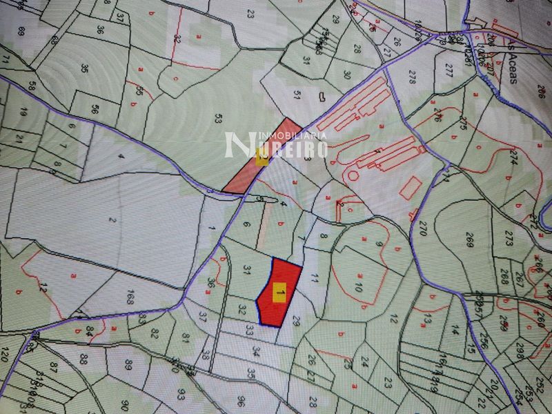 Parcela en venta O Corgo, Lugo. Ref: 1066. Inmobiliaria Nubeiro