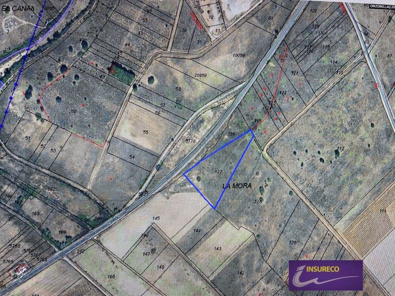 Parcela en venta Onzonilla, León. Ref: 1336. Insureco León