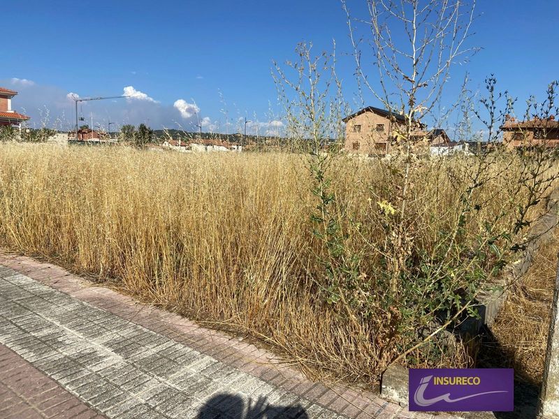Parcela en venta Villarrodrigo De Las Regueras, León. Ref: 1946. Insureco León