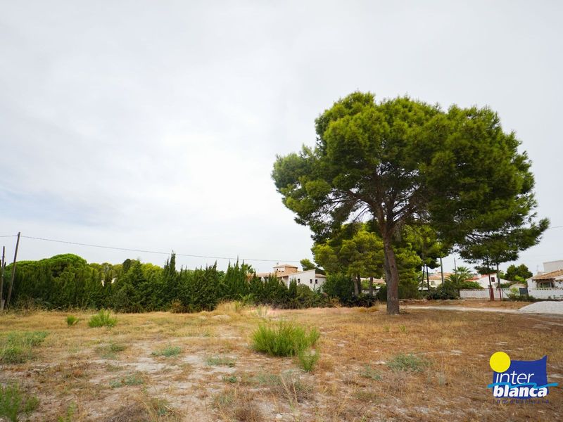 Plot for sale Calp/Calpe, Alicante. Ref: 1067. Interblanca Real Estate
