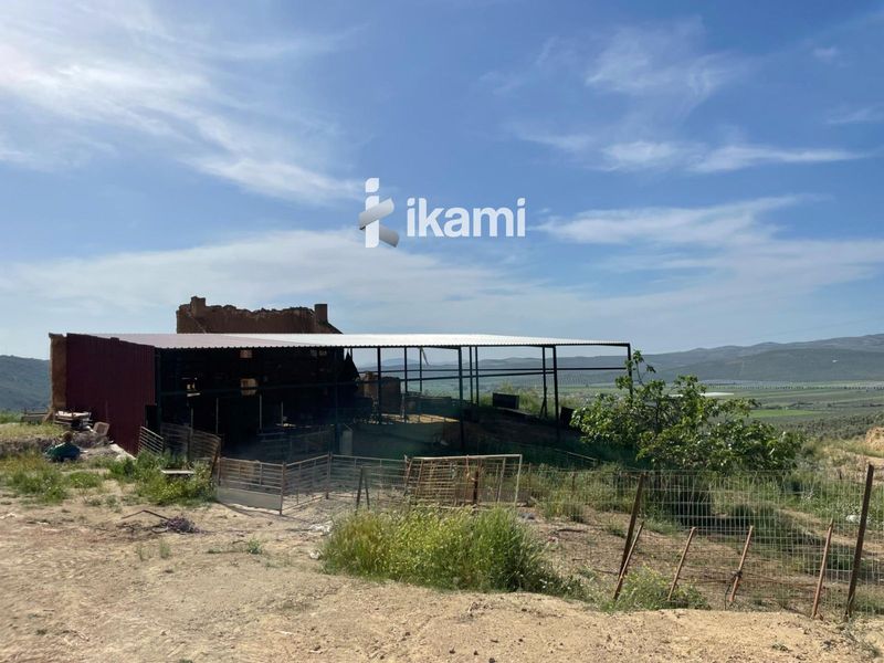 Plot for sale Archidona, Málaga. Ref: 1721. IKAMI ESPAÑA