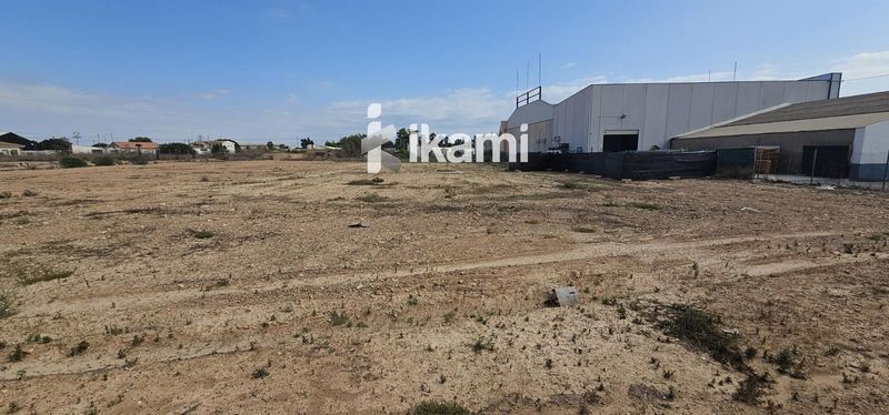 Parcelle  à louer San Pedro Del Pinatar, Murcia. Ref: 2069. IKAMI ESPAÑA