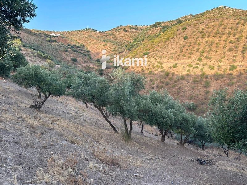 Plot for sale Colmenar, Málaga. Ref: 2237. IKAMI ESPAÑA