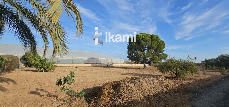 Terreny en venda San Javier, Murcia. Ref: 2243. IKAMI ESPAÑA