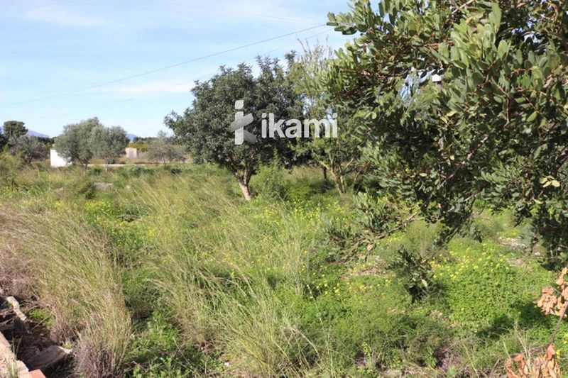 Plot for sale Els Poblets, Alicante. Ref: 2656. IKAMI ESPAÑA