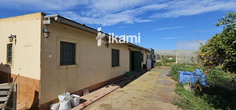 Plot for sale Torre Pacheco, Murcia. Ref: 2908. IKAMI ESPAÑA